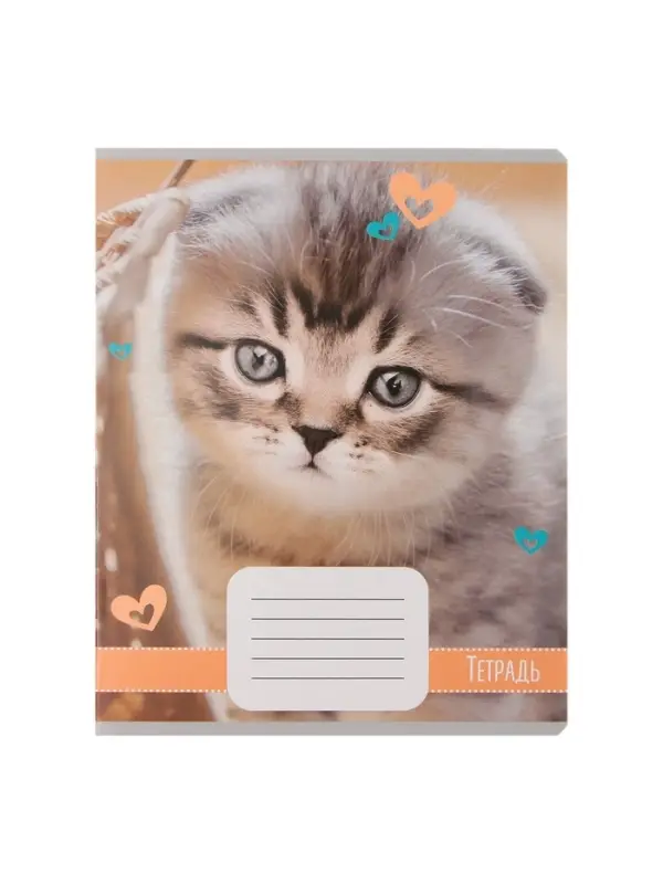 Комплект тетрадей из 10 штук, 18 листов в линию Calligrata "Домашние животные", обложка мелованный картон, ВД-лак, блок офсет, 5 видов по 2 штуки