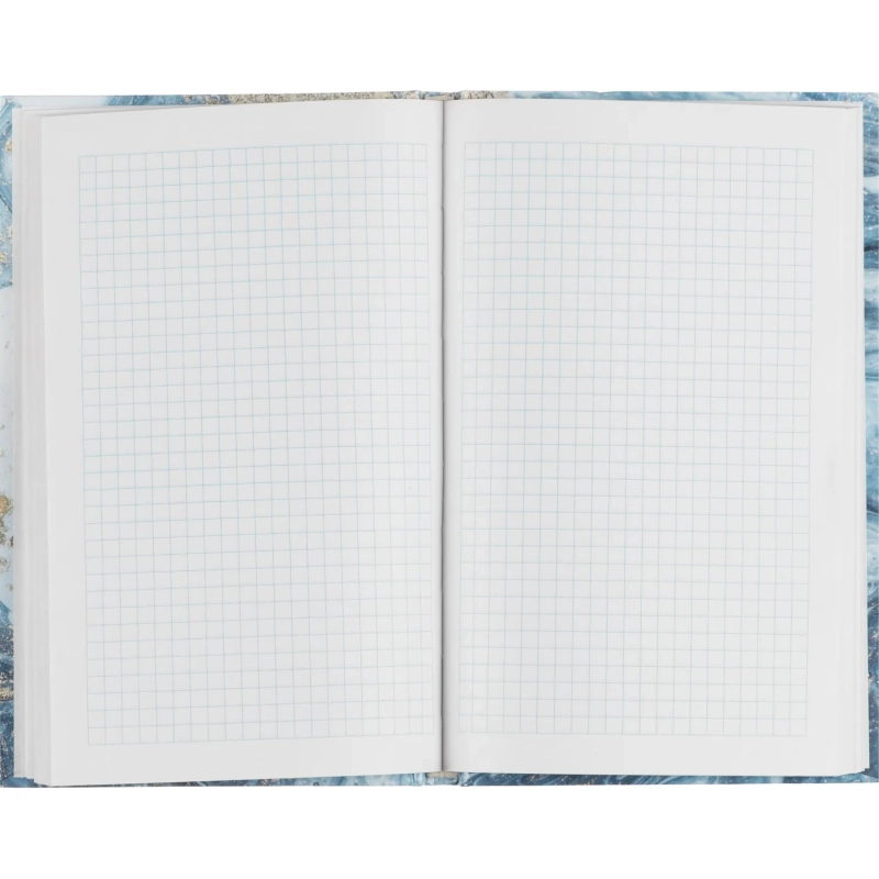 Бизнес-тетрадь А5,96л,7БЦ,клетка,Attache Selection серо-голуб