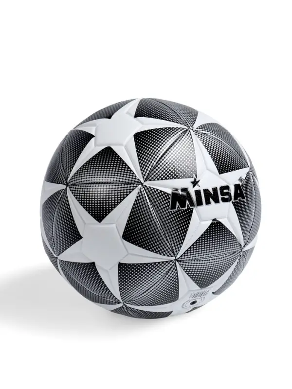 Мяч футбольный MINSA, TPE, машинная сшивка, 12 панелей, р.5
