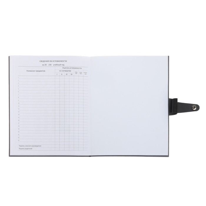 Дневник универсальный для 1-11 классов Favorite, интегральная обложка из искусственной кожи на кнопке, тиснение фольгой, ляссе, 48 листов