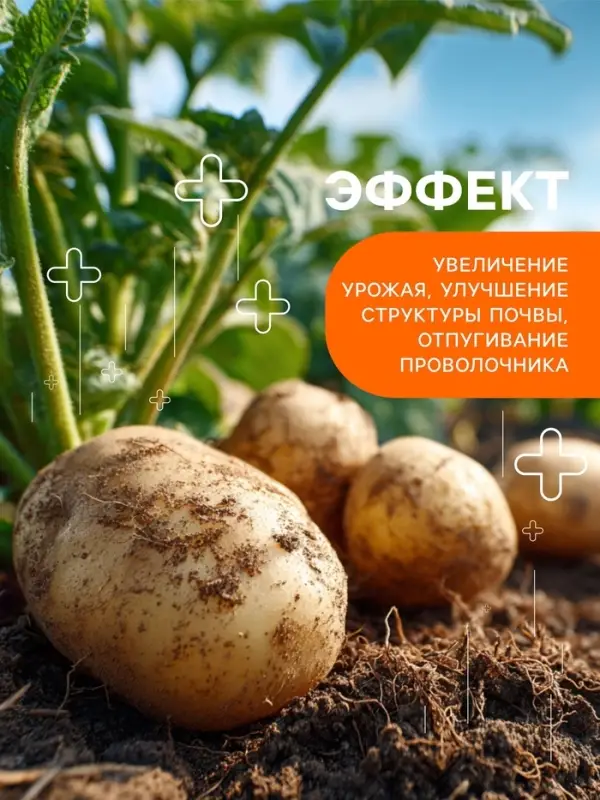 Картофельная формула, удобрение для картофеля, 5 кг