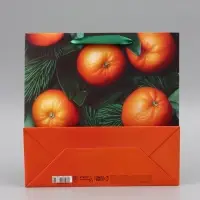 Пакет подарочный &laquo;С Новым годом&raquo;, мандарины, 30&times;30&times;12 см