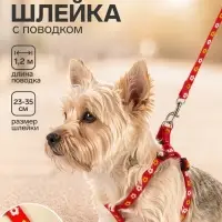 Шлейка с поводком &laquo;Цветы&raquo;, ОГ 23-35 см, ширина 1 см, поводок 120 см, прошитая, красная