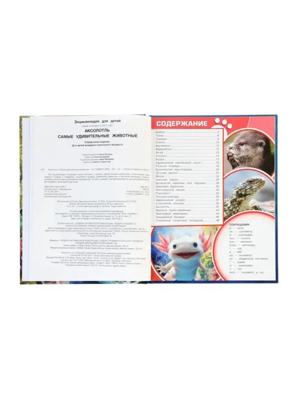 Энциклопедия «Аксолотль. Самые удивительные животные» 405007 Энциклопедия «Аксолотль. Самые удивительные животные» 405007