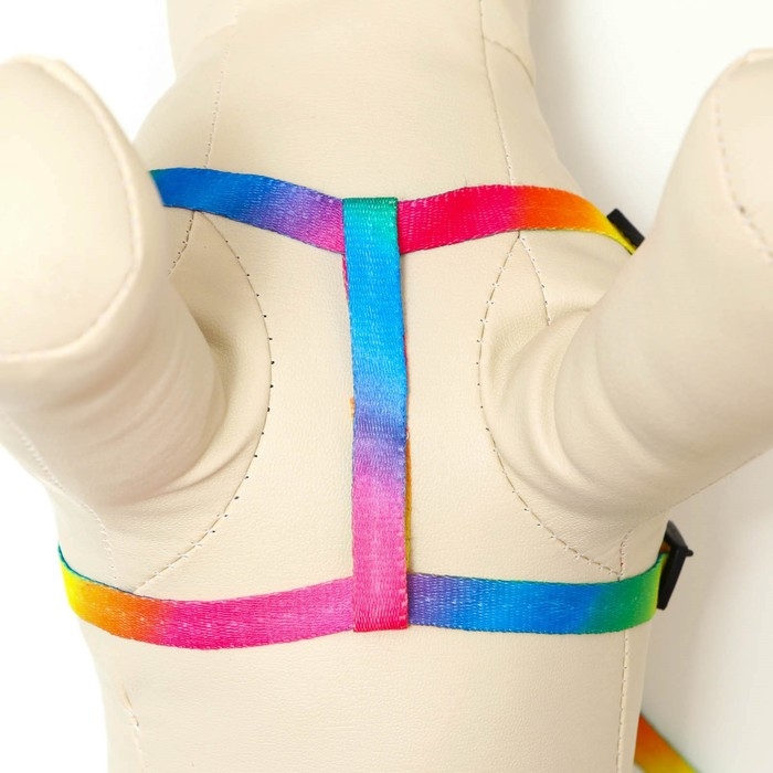 Комплект "Радуга", капрон, поводок 120 х 1 см, ОГ 24-34 см, разноцветный