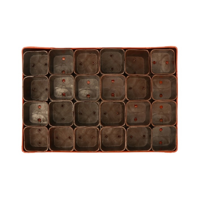 Набор для рассады: стаканы по 70 мл (24 шт.), поддон 29,5 × 20 см, МИКС Набор для рассады: стаканы по 70 мл (24 шт.), поддон 29,5 × 20 см, МИКС