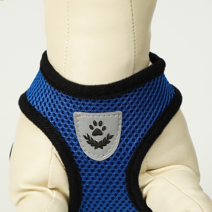 Комплект амуниции с мягкой шлейкой и светоотражающей нашивкой, XL,ОШ 40 см, ОГ 46-60 см,синий Комплект амуниции с мягкой шлейкой и светоотражающей нашивкой, XL,ОШ 40 см, ОГ 46-60 см,синий