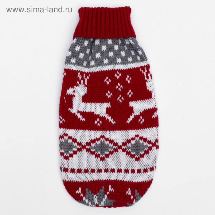 Свитер, размер 10 (ДС 30-45, ОШ 16-31, ОГ 30-45 см), микс расцветок Свитер, размер 10 (ДС 30-45, ОШ 16-31, ОГ 30-45 см), микс расцветок