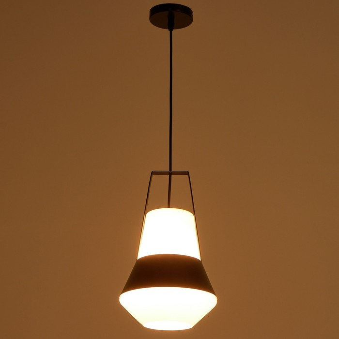 Светильник BayerLux 1653/1BK E27 40Вт черный 25х26х40-135 см