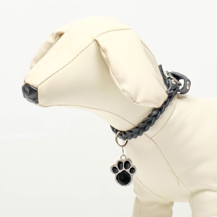 Адресник под гравировку  Адресник под гравировку "Лапа", фасовка по 6 шт, 2,6 х 3,2 см, микс цветов