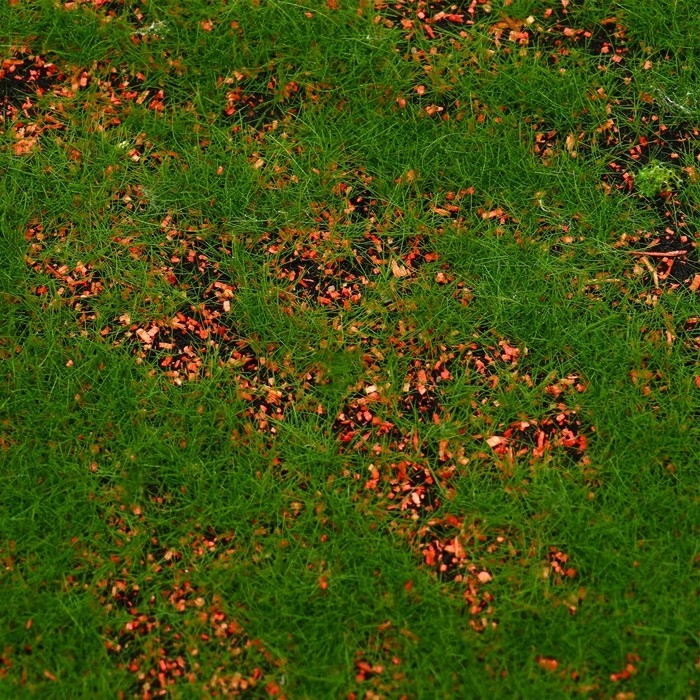 Мох искусственный, декоративный, полотно 1 × 1 м, зелёный, с коричневым ямами, Greengo Мох искусственный, декоративный, полотно 1 × 1 м, зелёный, с коричневым ямами, Greengo