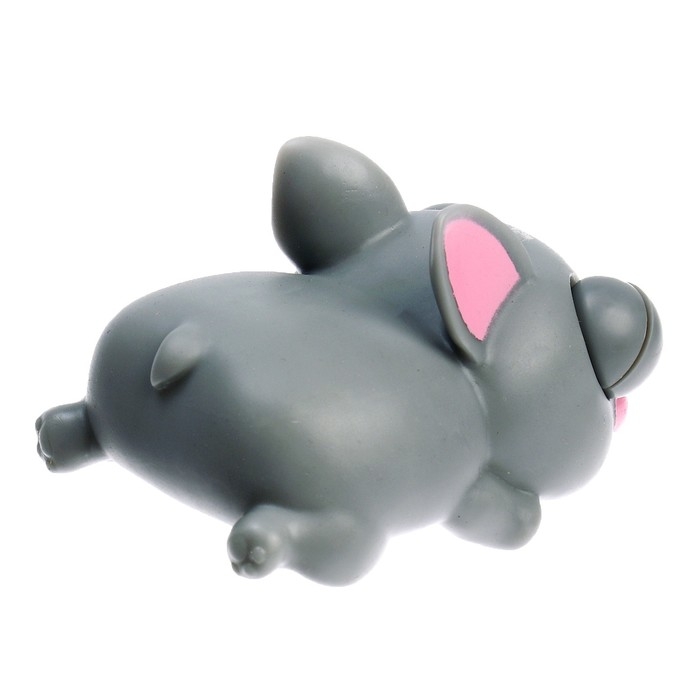 Игрушка-антистресс «Пучеглазики. Собаки», в шоубоксе Игрушка-антистресс «Пучеглазики. Собаки», в шоубоксе