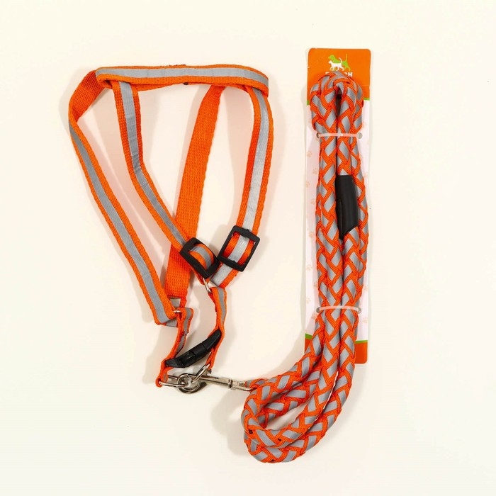 Комплект  Комплект "Плетенка", флуоресцентный, поводок 115 х 1 см, ОГ 32-48 х 1,5 см, оранжевый