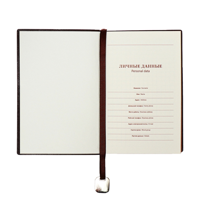 Органайзер, А6, 116 листов, клетка, обложка кожзам, коричневый срез, черный Органайзер, А6, 116 листов, клетка, обложка кожзам, коричневый срез, черный