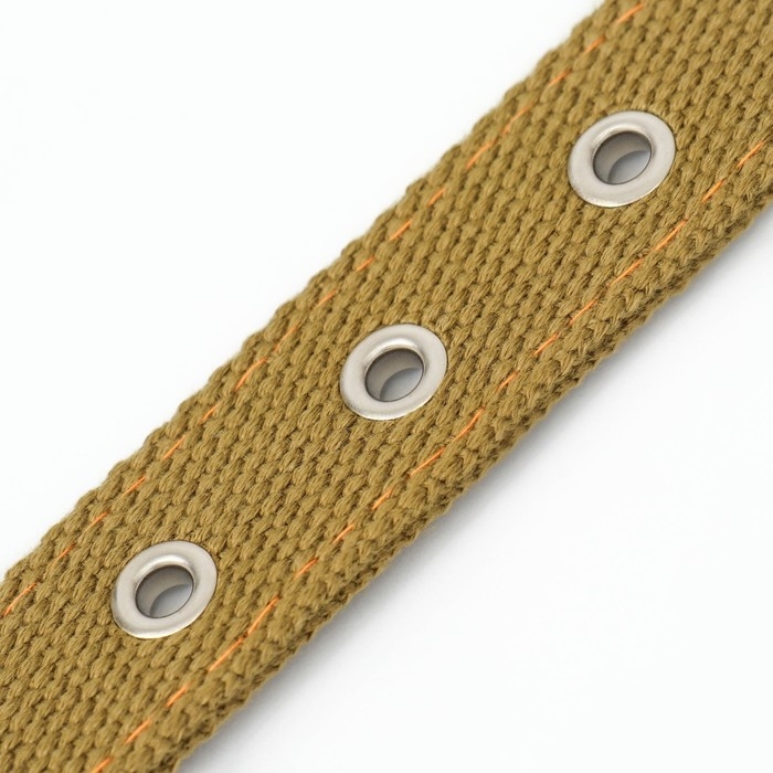 Ошейник брезентовый двухслойный, 58 х 2,5 см, песочный Ошейник брезентовый двухслойный, 58 х 2,5 см, песочный