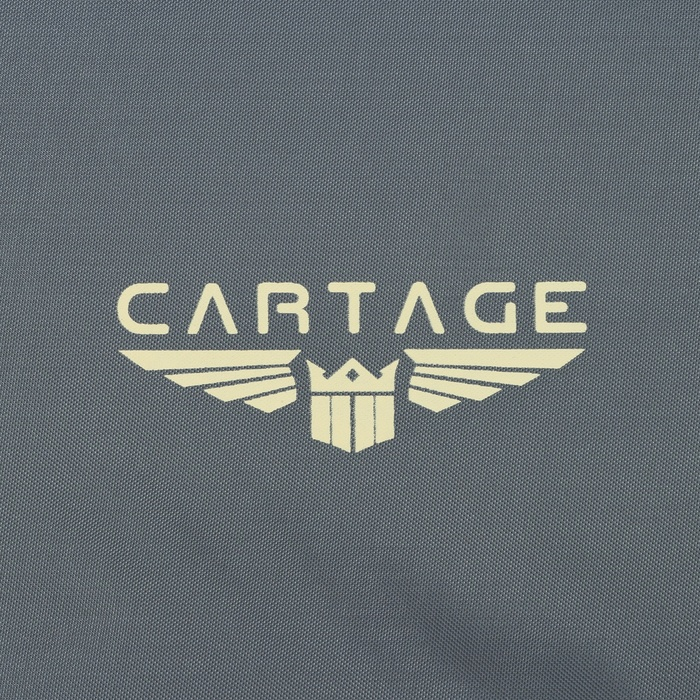 Термосумка Cartage Т-11, серая, 18 л, 35х21х24 см Термосумка Cartage Т-11, серая, 18 л, 35х21х24 см