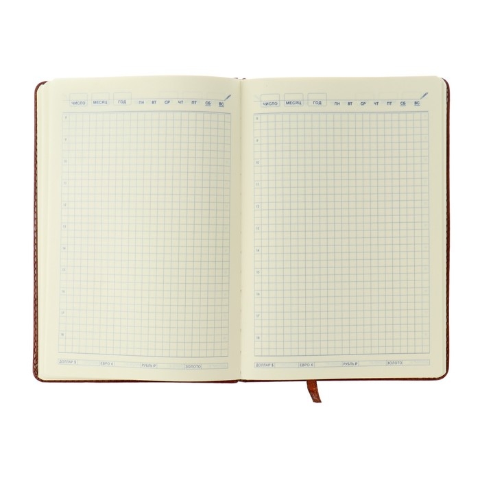 Ежедневник недатированный А5, 120 листов в клетку, с хлястиком обложка кожзам, МИКС