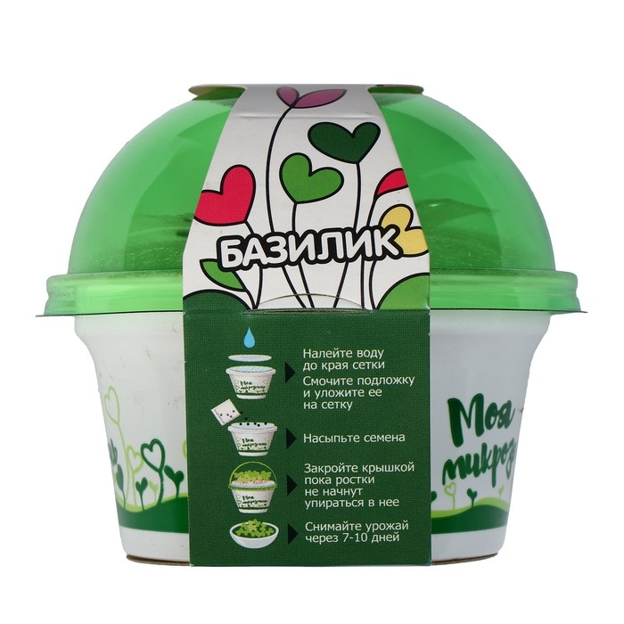 Набор для выращивания «Моя микрозелень», базилик Набор для выращивания «Моя микрозелень», базилик