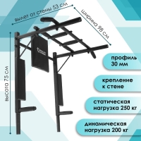 Турник-брусья «Профи-железное тело» 3 в 1, цвет чёрный