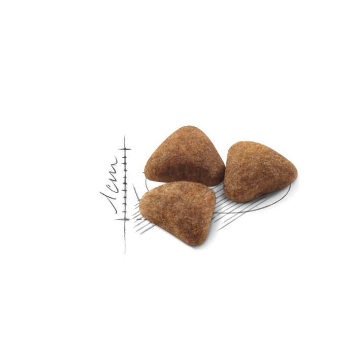 Сухой корм RC Indoor для кошек живущих в помещении, 10 кг