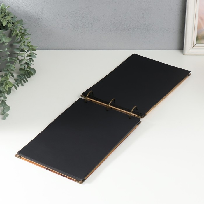 Фотоальбом на кольцах 30 листов Фотоальбом на кольцах 30 листов "У поместья" чёрные листы 26х18 см