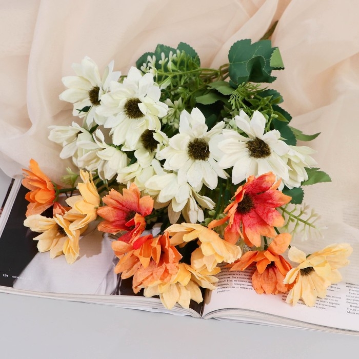 Букет Букет "Ромашка декоративная колор" 5х25 см, микс