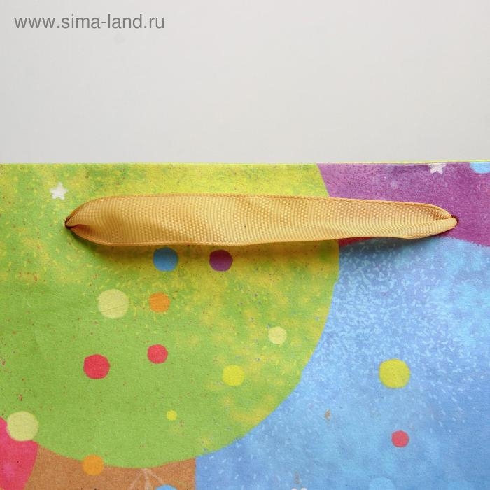 Пакет подарочный крафтовый горизонтальный, упаковка, «С Днем Рождения!», ML 27 х 23 х 11,5 см Пакет подарочный крафтовый горизонтальный, упаковка, «С Днем Рождения!», ML 27 х 23 х 11,5 см