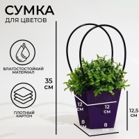 Сумка для цветов фиолетовая влагостойкая, 12 x 12-8 x 8-12.5 см