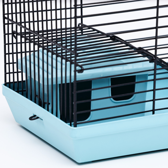 Клетка-мини для грызунов Клетка-мини для грызунов "Пижон" №2, укомплектованная, 27 х 15 х 16 см, бирюзовая