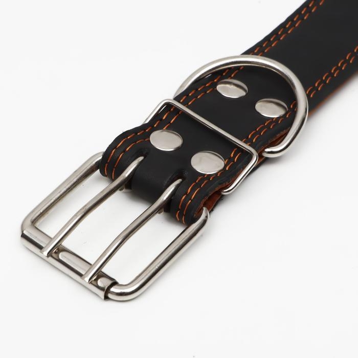 Ошейник кожаный двухслойный, 85 х 4.5 см,  ОШ 50-70 см, чёрный Ошейник кожаный двухслойный, 85 х 4.5 см,  ОШ 50-70 см, чёрный