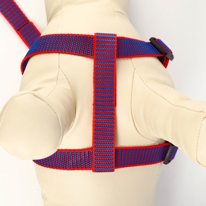 Комплект амуниции рельефный, 2 см, поводок 120 см, красно-синий Комплект амуниции рельефный, 2 см, поводок 120 см, красно-синий