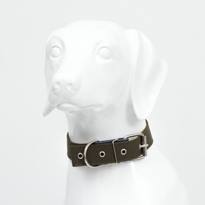Ошейник брезентовый однослойный, 73 х 3,5 см, ОШ 45-60 см, хаки Ошейник брезентовый однослойный, 73 х 3,5 см, ОШ 45-60 см, хаки