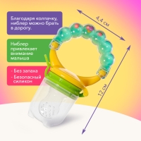 Ниблер для прикорма, с погремушкой, пищевой силикон, в кейсе, 3 съёмных насадки