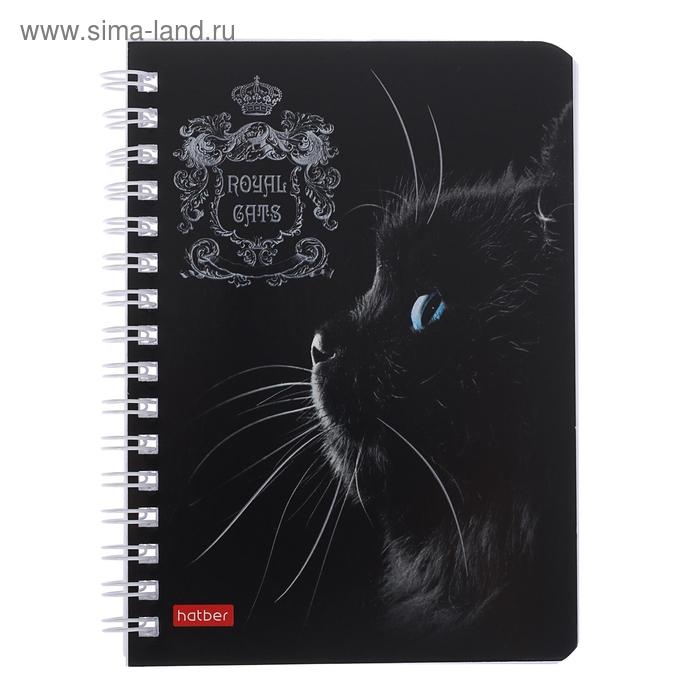 Записная книжка А6, 80 листов, в клетку, на гребне, Royal Cats, картонная обложка, блок офсет, МИКС Записная книжка А6, 80 листов, в клетку, на гребне, Royal Cats, картонная обложка, блок офсет, МИКС