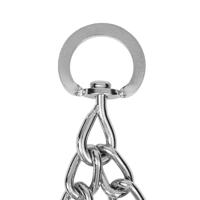 Ошейник - полуудавка строгий с защитными колпачками, 4 мм х 60 см Ошейник - полуудавка строгий с защитными колпачками, 4 мм х 60 см