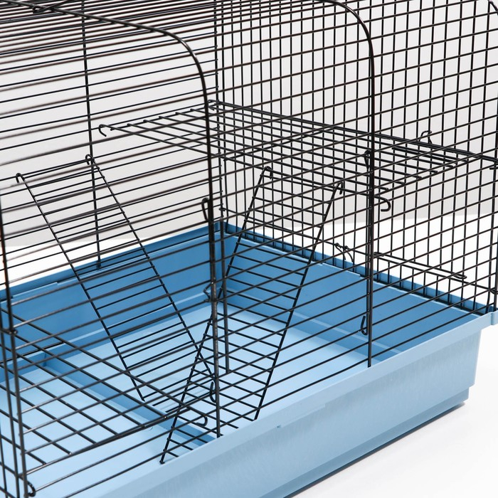 Клетка для грызунов  Клетка для грызунов "Сеня 2", 50 x 37 x 37 см, микс цветов