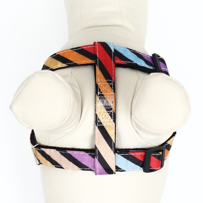 Комплект амуниции двухслойный, размер L, поводок 120 х 2 см, ОШ 31-45 см , ОГ 35-52 см, разноцветный Комплект амуниции двухслойный, размер L, поводок 120 х 2 см, ОШ 31-45 см , ОГ 35-52 см, разноцветный