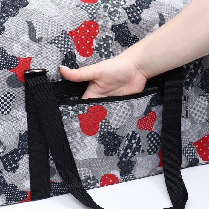 Сумка - переноска для животных  Сумка - переноска для животных "Принт", размер S, 39 х 23 х 27 см, сердечки