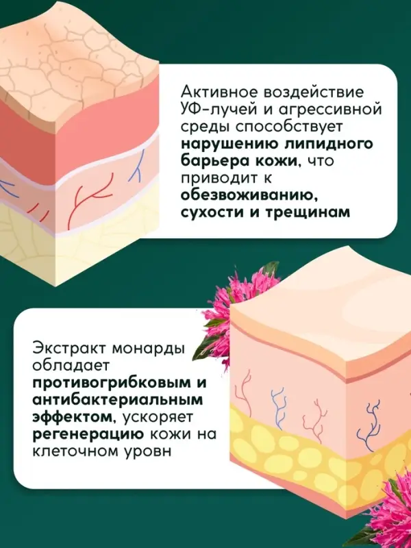 Крем-воск Semily для сухой кожи, 100 мл Крем-воск Semily для сухой кожи, 100 мл