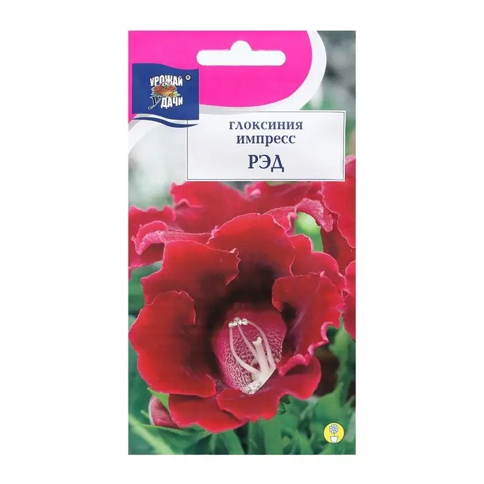 Семена цветов Глоксиния Семена цветов Глоксиния "Импресс Рэд", 3 шт. в амп.
