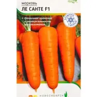 Семена Морковь "Ле Санте" F1 200 шт