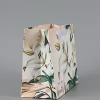 Пакет подарочный горизонтальный Beautiful, 23&times;18&times;10 см