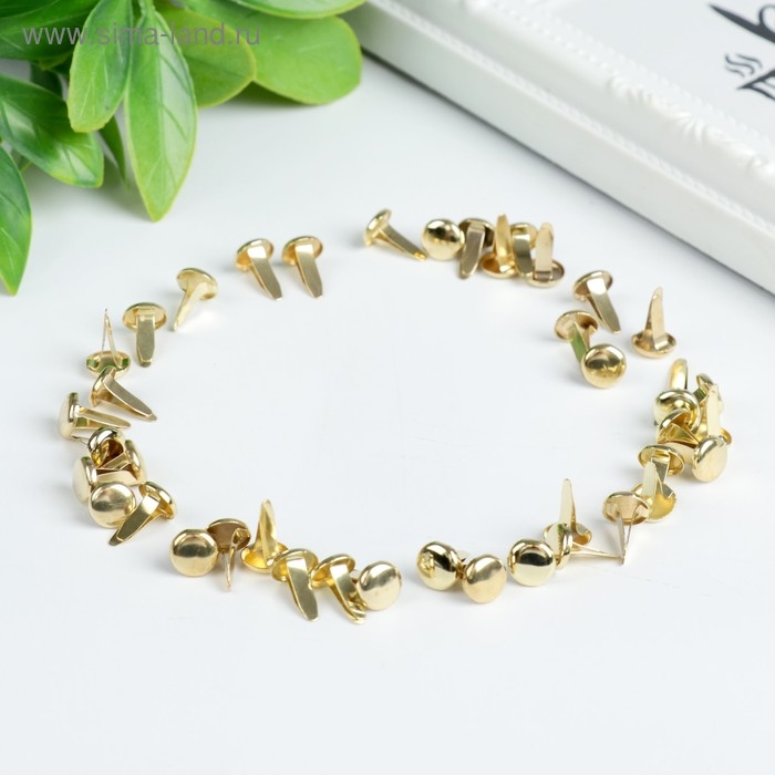 Брадсы для творчества металл  Брадсы для творчества металл "Золотые" набор 40 шт 1 см 15,5х8,8х2 см