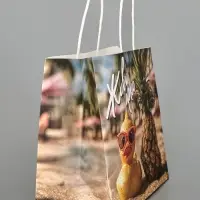 Пакет подарочный крафтовый &laquo;Утки&raquo;, 25 &times; 22 &times; 12 см