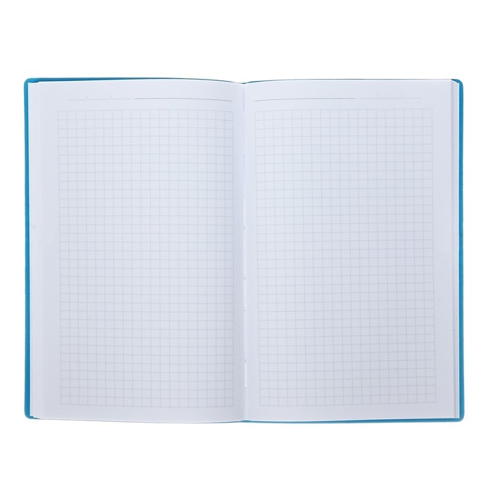 Еженедельник недатированный А5, 64 листа, на сшивке, интегральная обложка из искусственной кожи, тёмно-синий Еженедельник недатированный А5, 64 листа, на сшивке, интегральная обложка из искусственной кожи, тёмно-синий