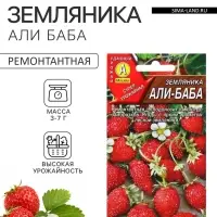 Семена Земляника &laquo;Али Баба&raquo;, ремонтантная, 0.04 г, &laquo;Аэлита&raquo;