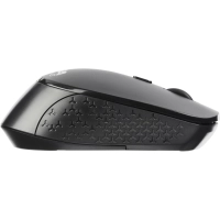 Мышь компьютерная ProMega jet WM010 USB WLS RT/1 АА/dpi 1600/3 кн/черный