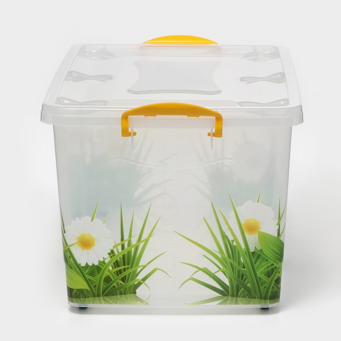 Контейнер для хранения с крышкой «Hide box. Трава», 50 л, 60×38×31 см, на колёсиках, МИКС Контейнер для хранения с крышкой «Hide box. Трава», 50 л, 60×38×31 см, на колёсиках, МИКС