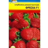 Семена Клубника ремонтантная &laquo;Фреска&raquo; F1 5 шт.