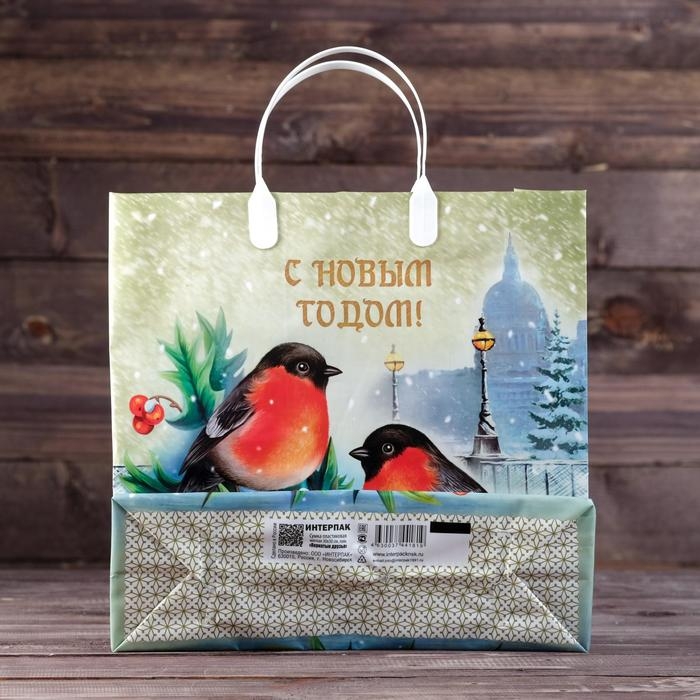 Новый год. Пакет Новый год. Пакет "Пернатые друзья", мягкий пластик, 30х30 см.